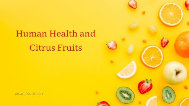 Human Health and Citrus Fruits